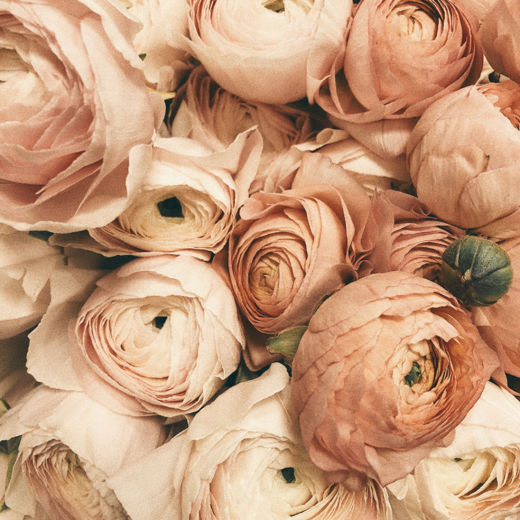 organisation complète choix prestataires retroplanning mariage Toulouse